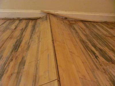 Reasons For Installing Wood Floors, What Happens If You Don T Acclimate Hardwood Floor